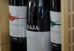 Vinhos GAJA, verdadeiras joias italianas, conheça os novos rótulos Vinové!