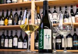 I VINI BIANCHI INVERNALI, quali e come sceglierli.