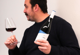 S de SYRAH, descobrindo a VARIEDADE HISTÓRICA E VERSÁTIL!