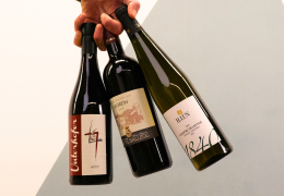 Trentino-Alto Adige: STRADA DEL VINO, territori da bere ti porta tra i vini altoatesini.