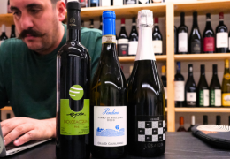 LOS TERROIRS DEL VINO en el Día Mundial del Hábitat, hablemos de medio ambiente y vino.