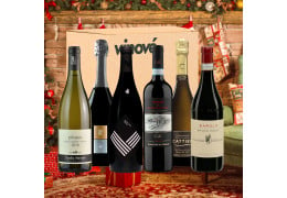 Rendi unico il Natale con la BOX “LA CANTINA DI BABBO NATALE”, una selezione speciale con i vini per le tue feste!